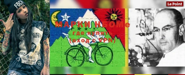 хмурый Ессентукская