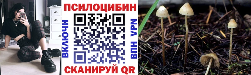 Купить где  Сунжа  Галлюциногенные грибы MAGIC MUSHROOMS 